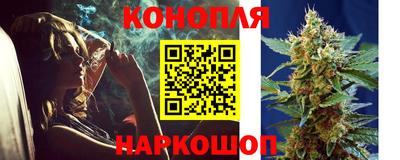 альфа пвп Новокубанск